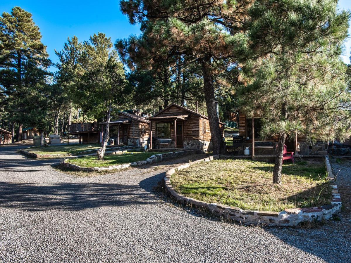 Alpine Cabin, 3 Bedrooms, Deck, Sleeps 8 Руидозо Экстерьер фото